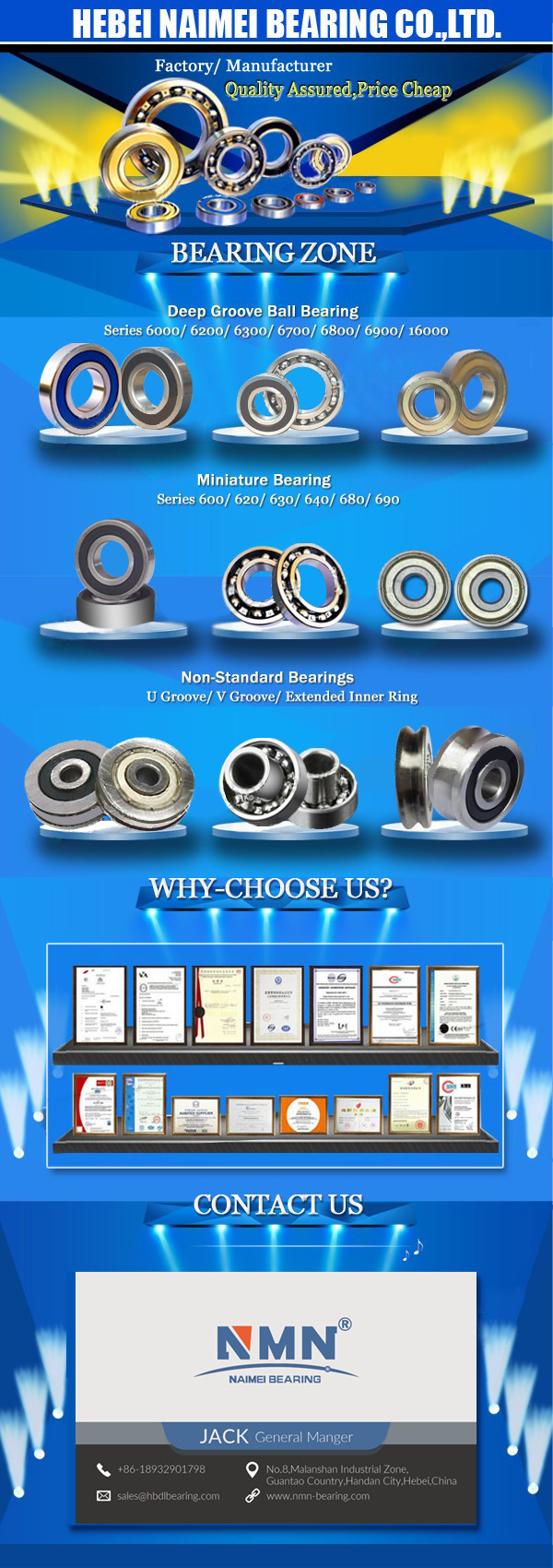 Tapered Roller Bearing with Competitive Price 30204 30205